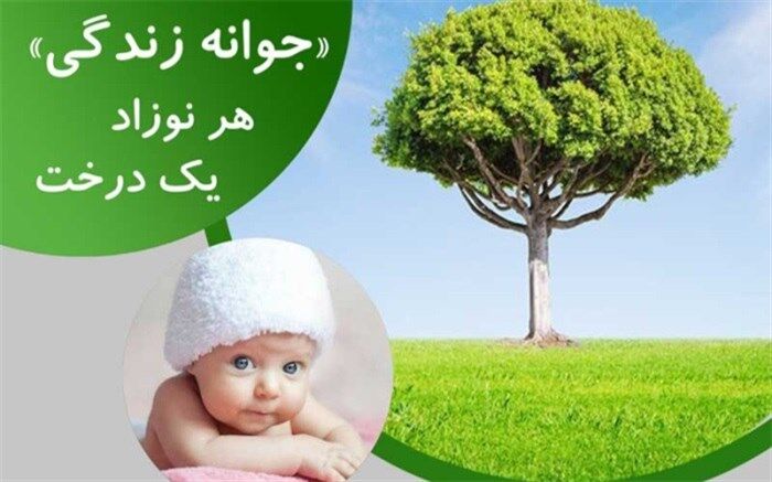 با مشارکت در پویش جوانه زندگی، برای نوزادتان درخت بکارید