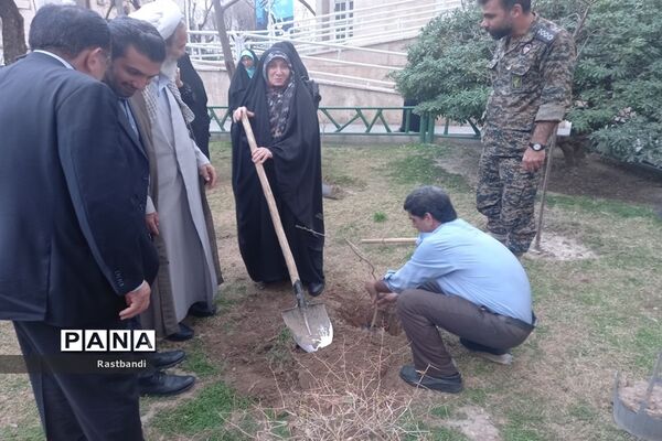 کاشت نهال به یاد شهید محمدرضا کرم در منطقه ۱۳