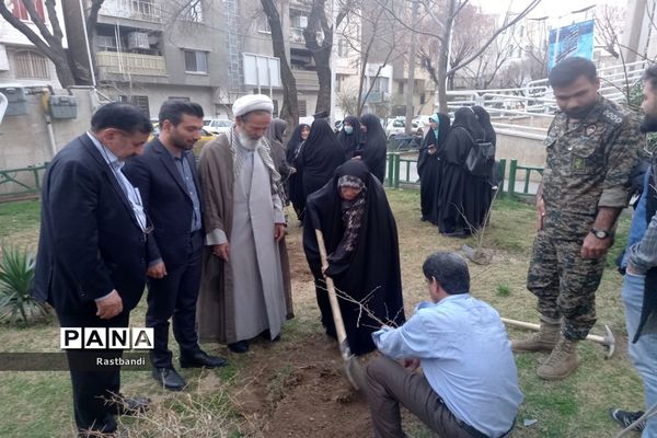 کاشت نهال به یاد شهید محمدرضا کرم در منطقه ۱۳