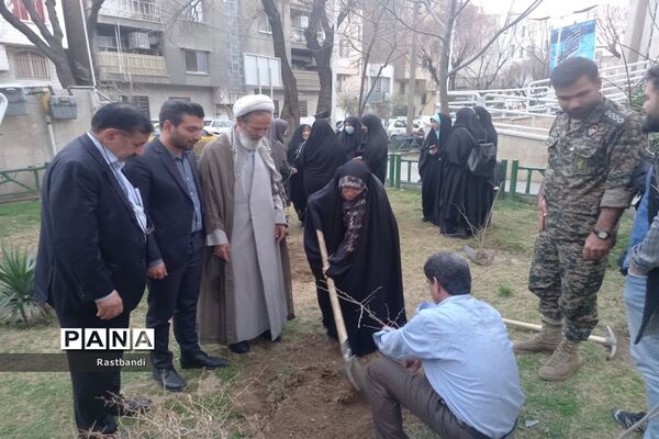 کاشت نهال به یاد شهید محمدرضا کرم در منطقه ۱۳