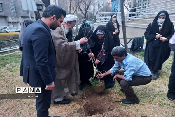 کاشت نهال به یاد شهید محمدرضا کرم در منطقه ۱۳