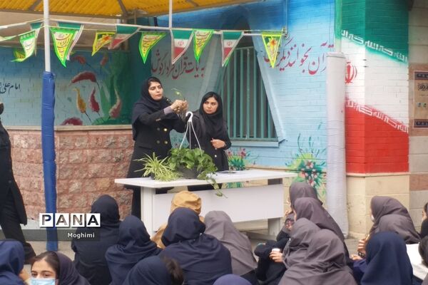 آموزش کاشت و نگهداری گیاهان آپارتمانی در دبیرستان نرجس منطقه ۱۳