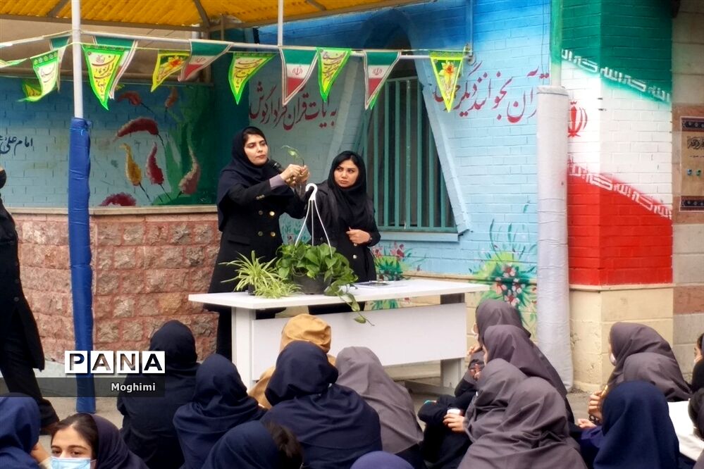 آموزش کاشت و نگهداری گیاهان آپارتمانی در دبیرستان نرجس منطقه ۱۳