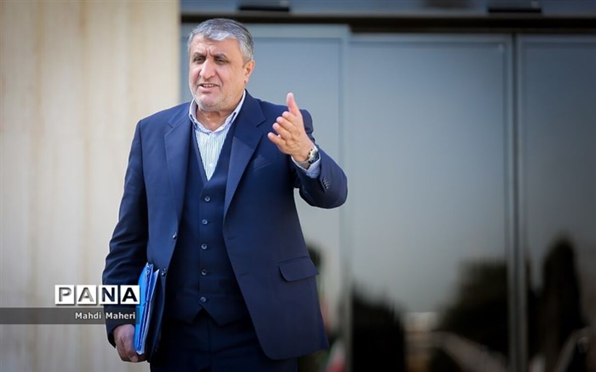 اسلامی: به پادمان و ان‌پی‌تی پایبند هستیم
