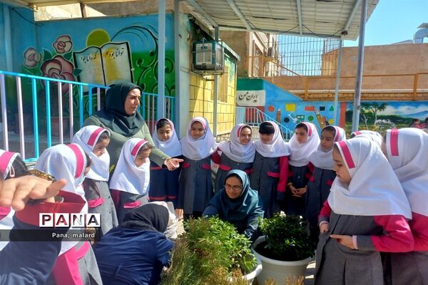 کاشت نهال در مدارس شهید همت و شکوفه‌های دانش ملارد