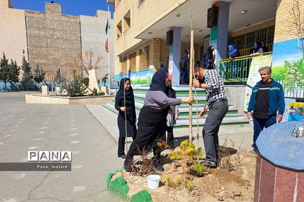 کاشت نهال در مدارس شهید همت و شکوفه‌های دانش ملارد