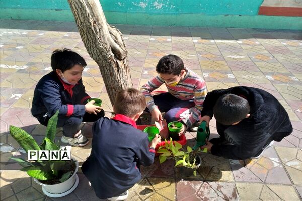 روز درختکاری  و کاشت گل و درخت توسط دانش‌آموزان مدارس ملارد