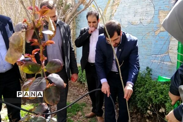 روز درختکاری  و کاشت گل و درخت توسط دانش‌آموزان مدارس ملارد