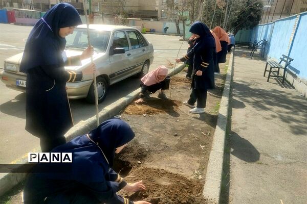 روز درختکاری  و کاشت گل و درخت توسط دانش‌آموزان مدارس ملارد