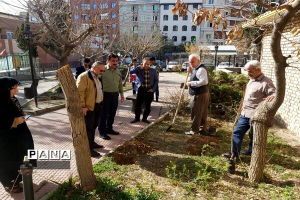 روز درختکاری فرصتی برای دوباره زیستن