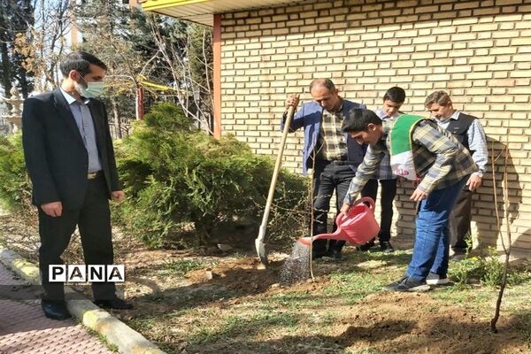 روز درختکاری فرصتی برای دوباره زیستن