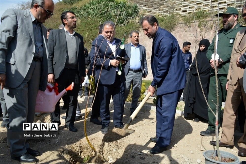 طرح ماندگار غرس نهال در منطقه 2 تهران