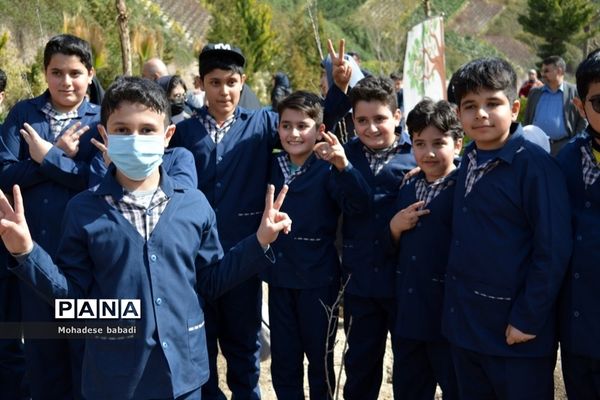 طرح ماندگار غرس نهال در منطقه 2 تهران