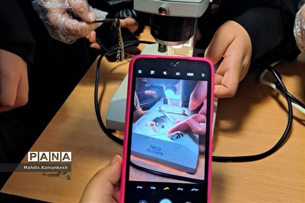 کارگاه آناتومی و تشریح حیوانات آزمایشگاهی در پاکدشت