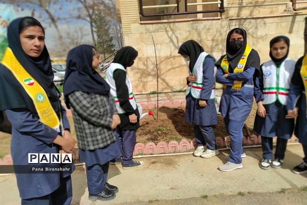 روز درختکاری در بیرانشهر