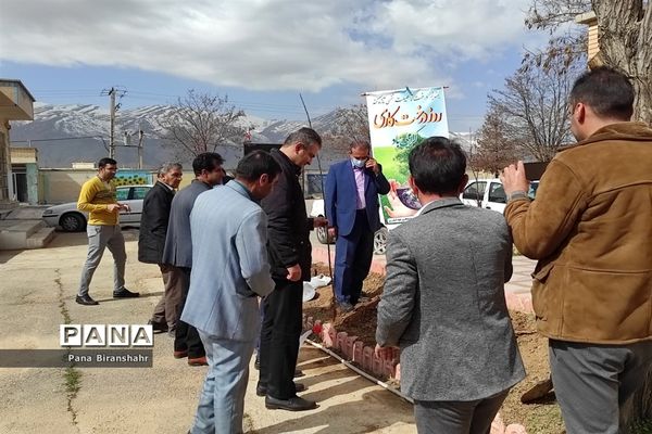 روز درختکاری در بیرانشهر