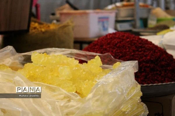 جشنواره اقوام ایرانی در شهرستان بهارستان