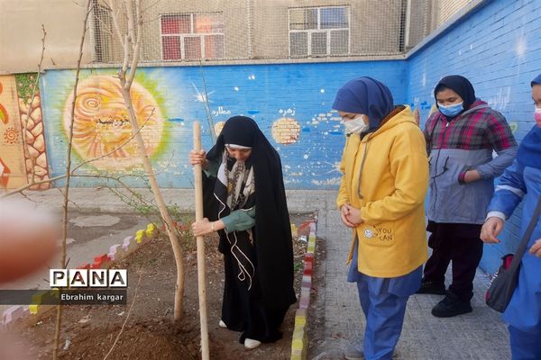 کاشت نهال به یاد شهید حاج قاسم سلیمانی و شهید کبیری طامه