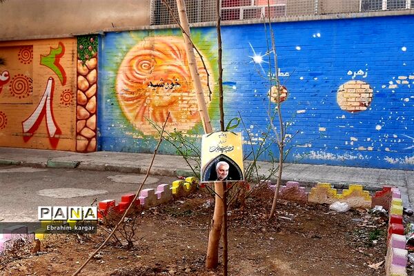 کاشت نهال به یاد شهید حاج قاسم سلیمانی و شهید کبیری طامه