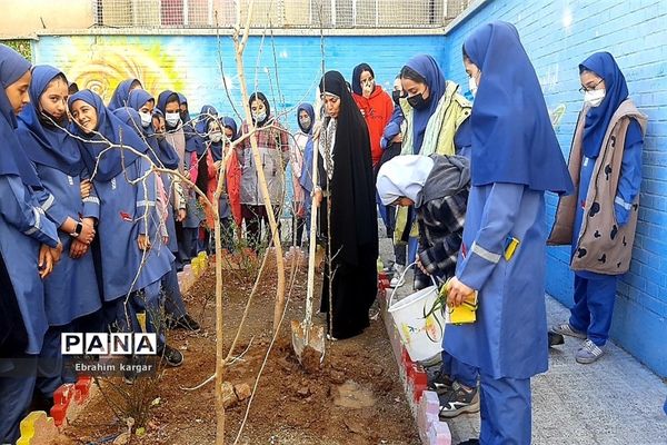 کاشت نهال به یاد شهید حاج قاسم سلیمانی و شهید کبیری طامه