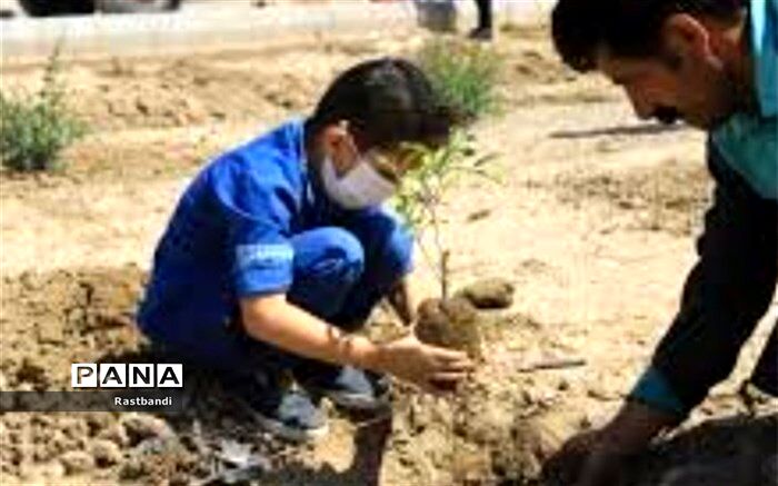 ۳ هزار نهال با دستان پرمهر کودکان کار، در بوستان جنگلی سرخه حصار کاشته می‌شود