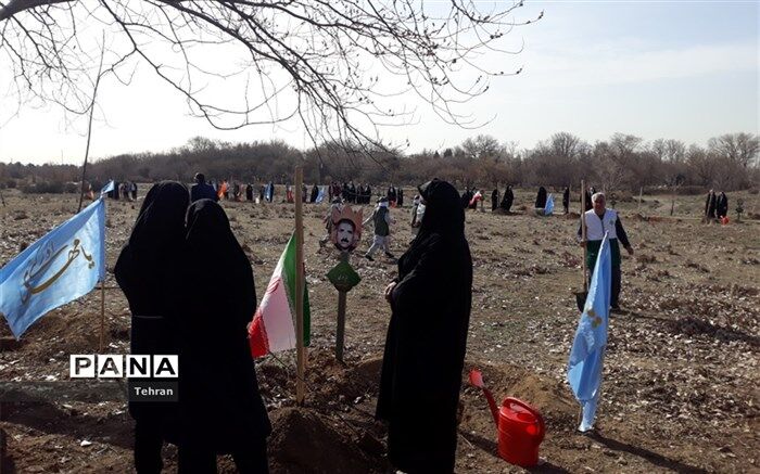 درختکاری یک سنت حسنه و راهی برای زندگی بهتر  آیندگان است