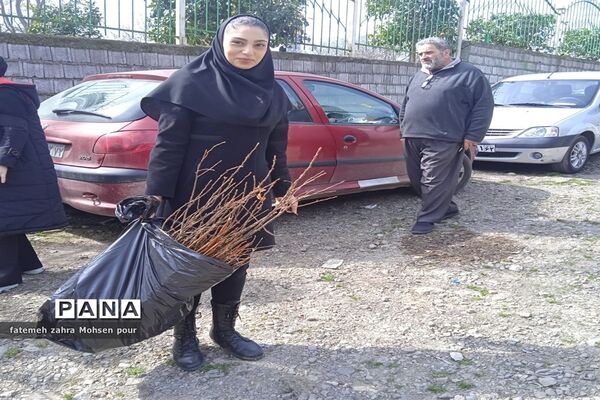 کاشت ۳۱۳ اصله نهال (هردانش‌آموز یک نهال)در روز درختکاری