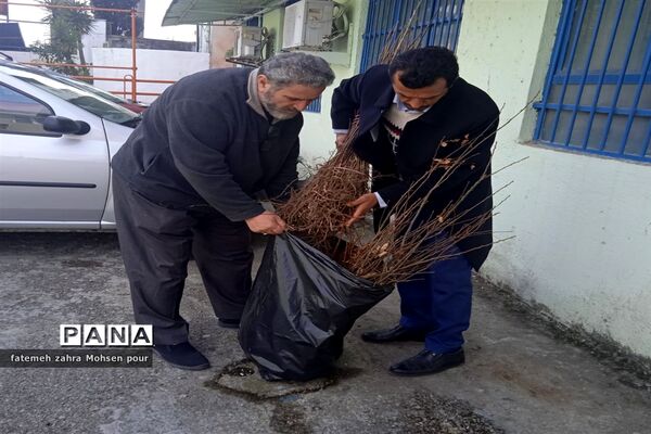 کاشت ۳۱۳ اصله نهال (هردانش‌آموز یک نهال)در روز درختکاری