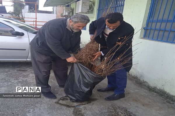 کاشت ۳۱۳ اصله نهال (هردانش‌آموز یک نهال)در روز درختکاری