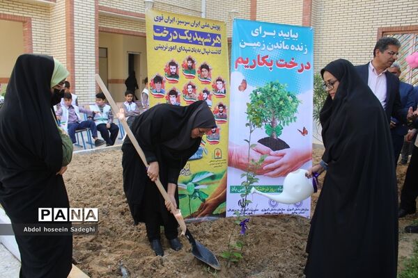 کاشت نهال در دبستان شهدای مدافع سلامت در بوشهر