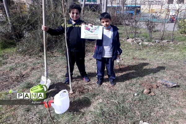 کاشت نهال در روز درختکاری توسط دانش‌آموزان دبستان علوی منطقه ۱۳