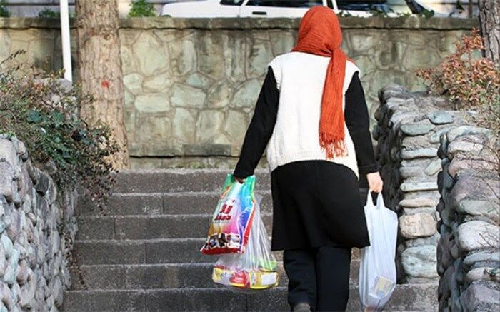 حمایت اقتصادی از زنان سرپرست خانوار در دستور کار سازمان امور اجتماعی