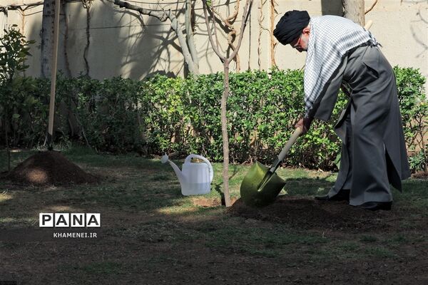 کاشت نهال توسط رهبرمعظم انقلاب در روز درختکاری