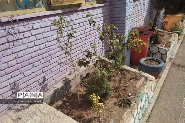 آیین روز درختکاری در دبیرستان تربیت رودهن