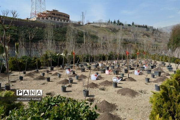 مراسم روز درختکاری و گرامیداشت هفته منابع طبیعی در منطقه ۲
