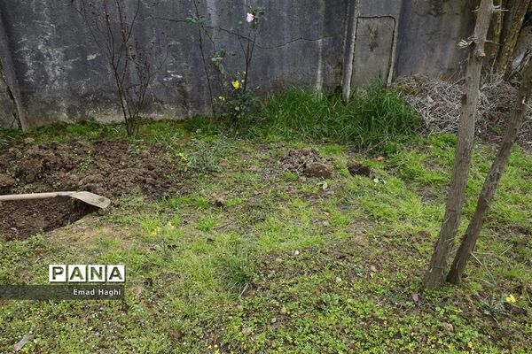 برگزاری همزمان مراسم نمادین جشن نیکوکاری و جشن درختکاری