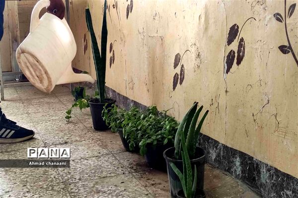 آیین نمادین درختکاری در مدارس کارون
