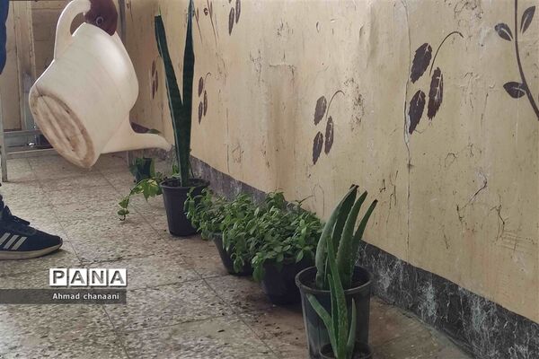 آیین نمادین درختکاری در مدارس کارون