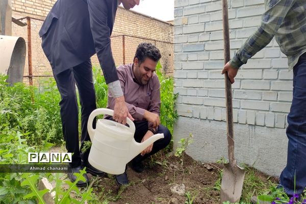 آیین نمادین درختکاری در مدارس کارون