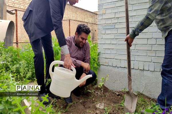 آیین نمادین درختکاری در مدارس کارون