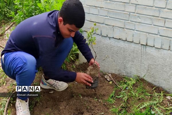 آیین نمادین درختکاری در مدارس کارون
