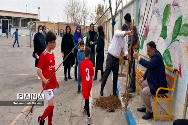 درختکاری در مدرسه حضرت مهدی(عج) پاکدشت
