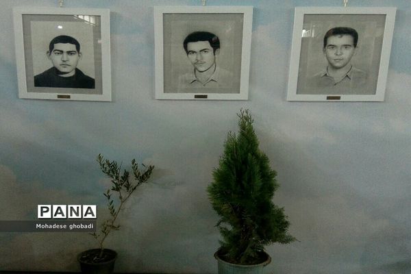 نمایشگاه سرو قامتان سرخ گلستان در بهارستان