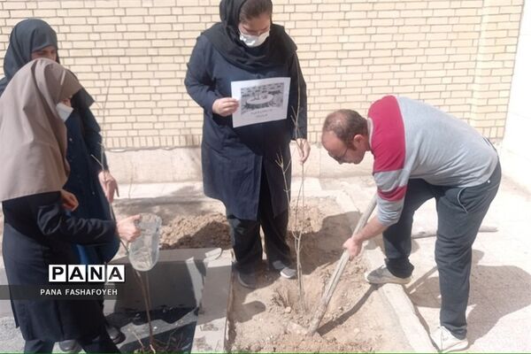 مراسم کاشت نهال در روز درختکاری در مدارس فشافویه