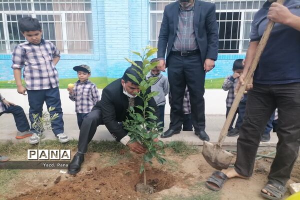 کاشت سایه‌بان امید‌ در دبستان پسرانه حافظ یک ناحیه یک یزد