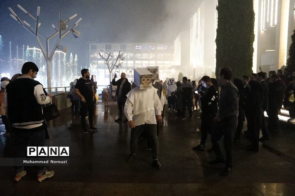 پایکوبی آب و نور در شب شکفتن گل نرگس