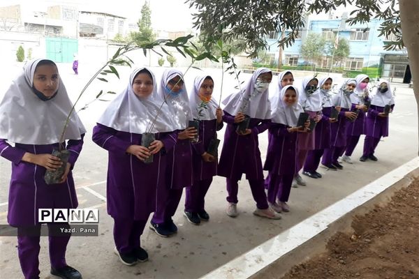 پویش درختکاری دبستان عفت ناحیه یک