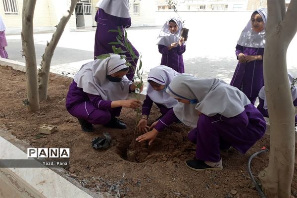 پویش درختکاری دبستان عفت ناحیه یک