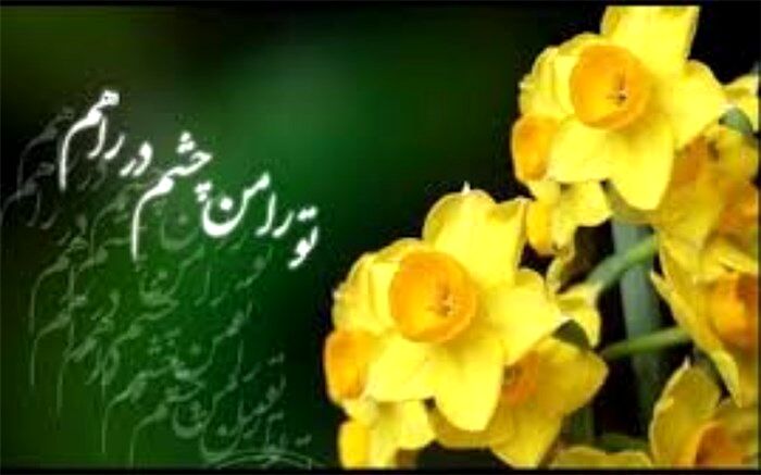 نوای دلنشین و شورانگیز دانش‌آموز رودهنی از شادی تولد امام‌زمان(ع)/فیلم‌