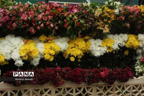 مراسم ولادت حضرت مهدی(عج) در شهرری